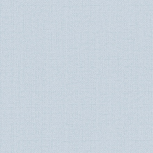 Голубые обои для стен Alessandro Allori Bruni 1002-42 RBN