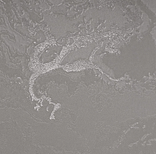 Коричневые обои в спальню Bernardo Bartalucci Gaga  84282-20