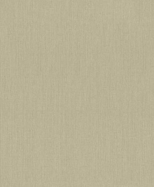 Обои для мансарды Rasch Mandalay 528534