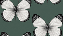 Обои бабочки в спальню Andrea Rossi Sheradi 54401-5