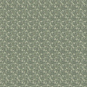 ERBA FRAGOLA 9